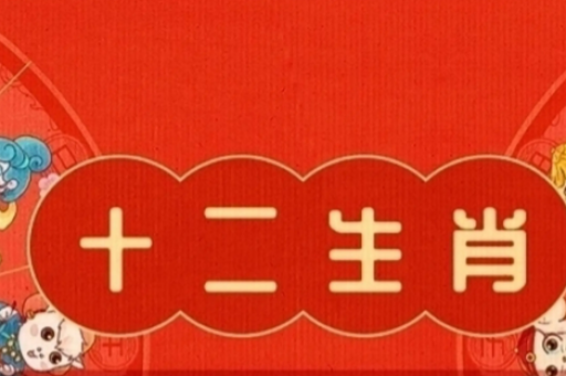 2026天天开好彩资料:2026天天开好彩资料大全与精准预测